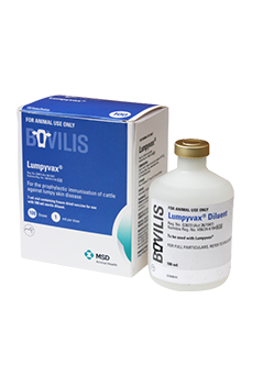 Bovilis Lumpyvax (100 Doses) 1ml per dose