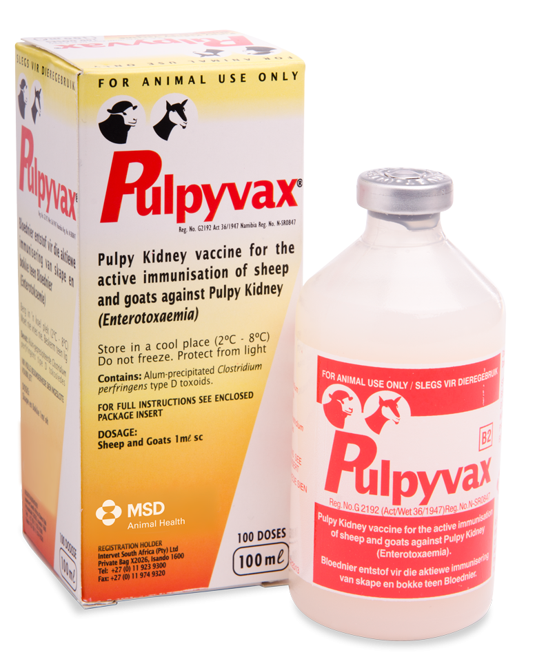 Pulpyvax 250ml (250 doses)